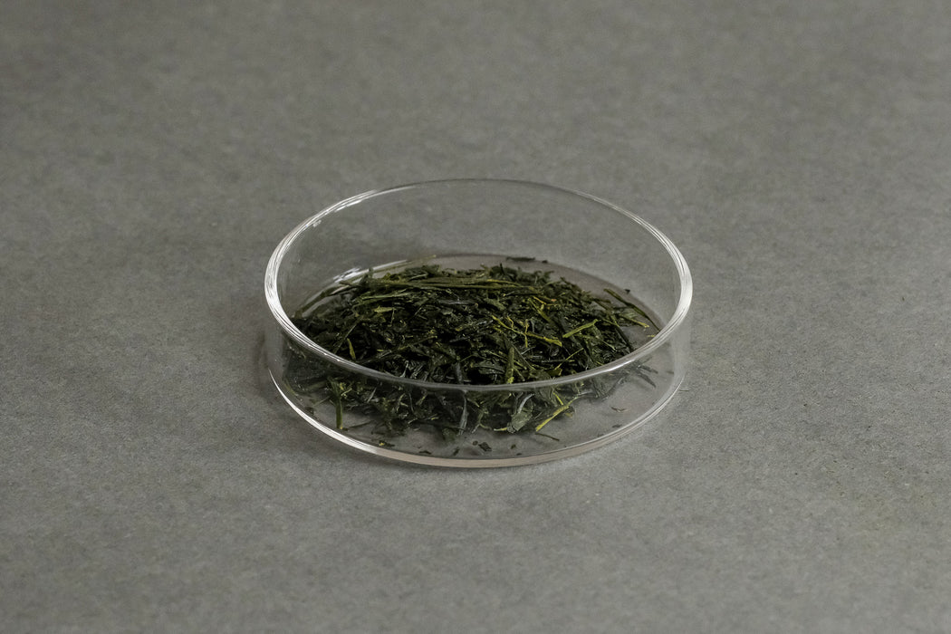 No. 1 Sencha - Green Tea